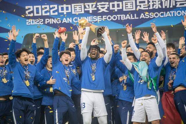 久久99精品久久久久久久野外